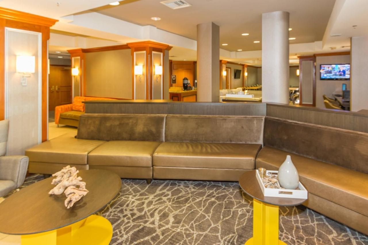 Springhill Suites By Marriott Tampa Westshore Zewnętrze zdjęcie